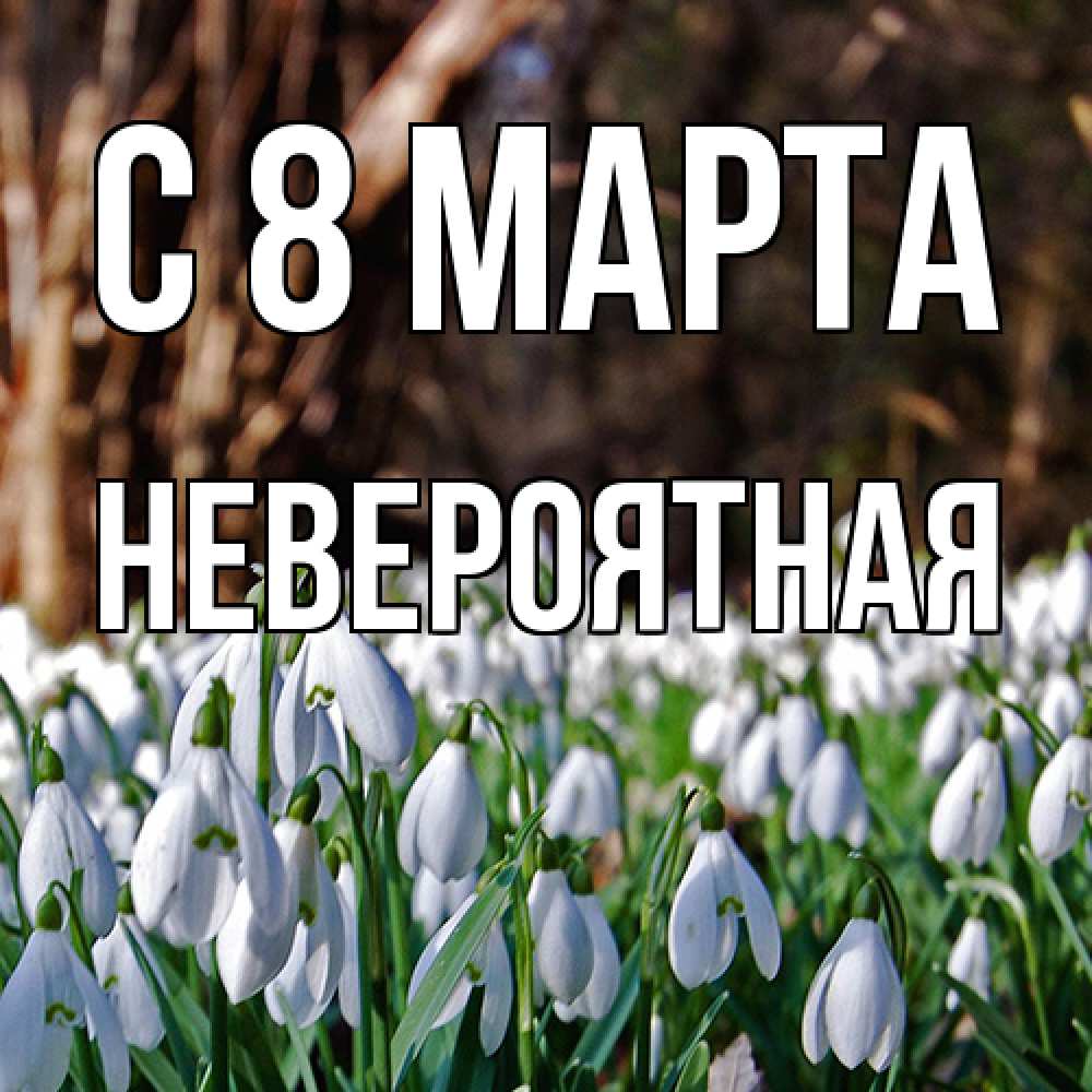 Открытка на каждый день с именем, невероятная C 8 МАРТА с подснежниками 1 Прикольная открытка с пожеланием онлайн скачать бесплатно 