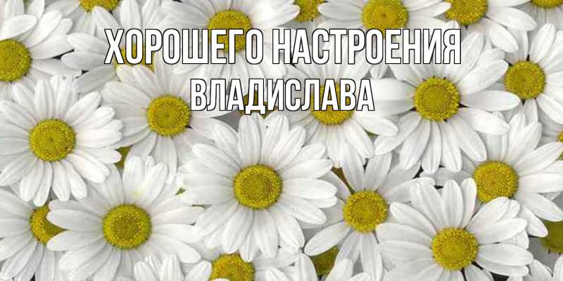 Картинка Хорошего настроения, Владислава