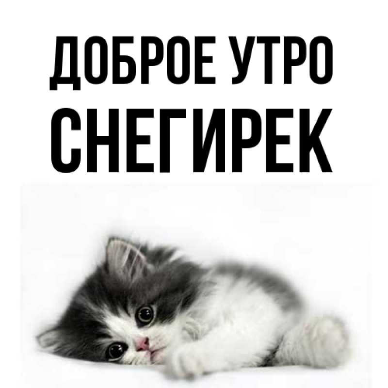 Картинка Доброе утро, снегирек