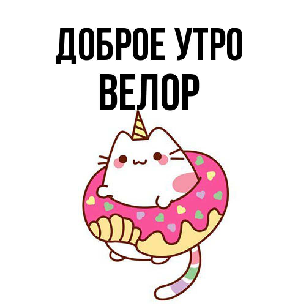 Открытка на каждый день с именем, Велор Доброе утро кот в бублике Прикольная открытка с пожеланием онлайн скачать бесплатно 
