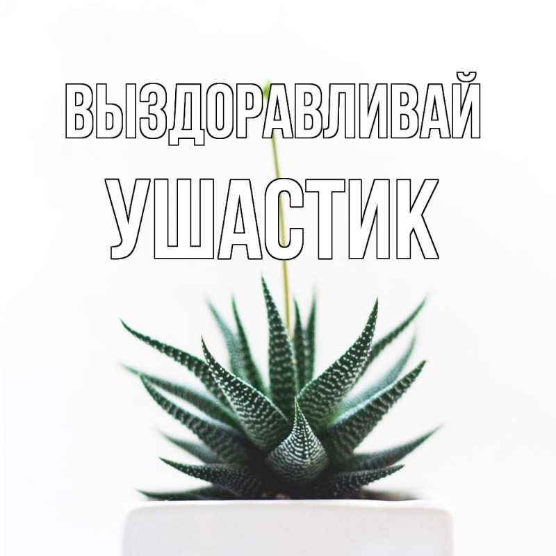 Картинка Выздоравливай, Ушастик