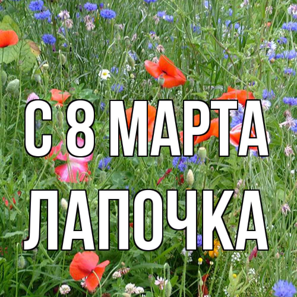 Открытка на каждый день с именем, лапочка C 8 МАРТА международный женский день 4 Прикольная открытка с пожеланием онлайн скачать бесплатно 