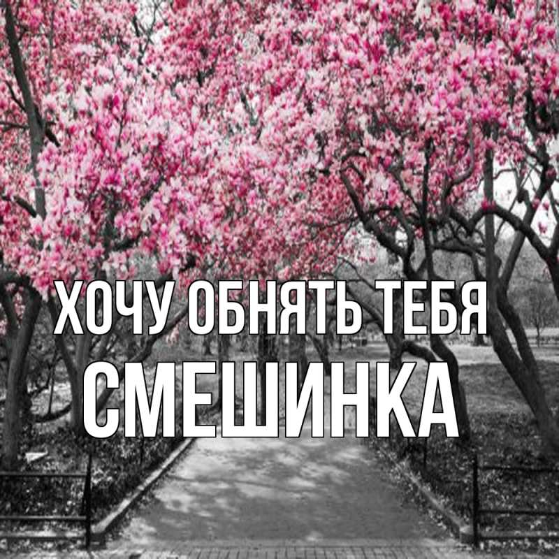 Картинка Хочу обнять тебя, Смешинка