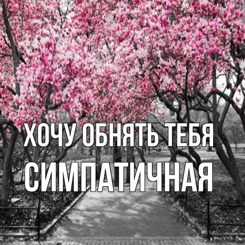Картинка Хочу обнять тебя, симпатичная