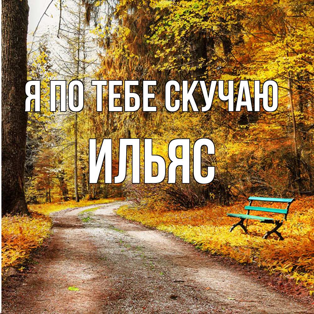 Открытка на каждый день с именем, Ильяс Я по тебе скучаю зеленая лавочка и осенний лес Прикольная открытка с пожеланием онлайн скачать бесплатно 