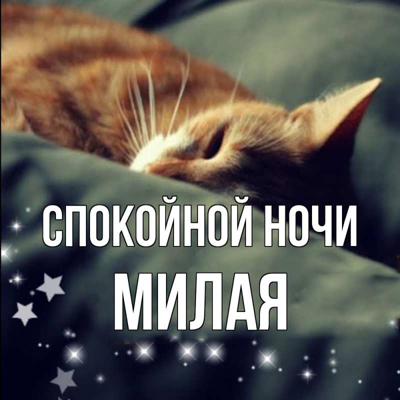 Картинка Спокойной ночи, Милая
