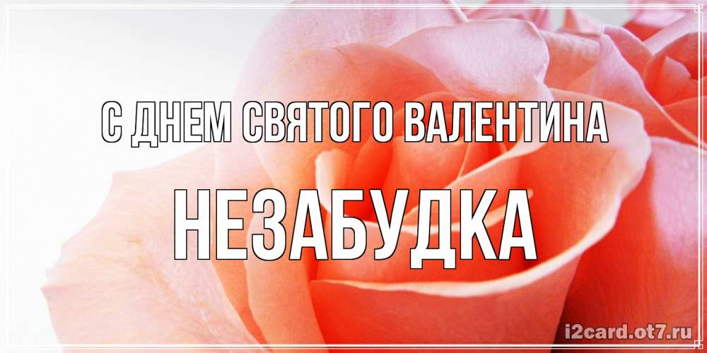 Открытка на каждый день с именем, Незабудка С днем Святого Валентина открытка на день Святого Валентина с розовой розой Прикольная открытка с пожеланием онлайн скачать бесплатно 