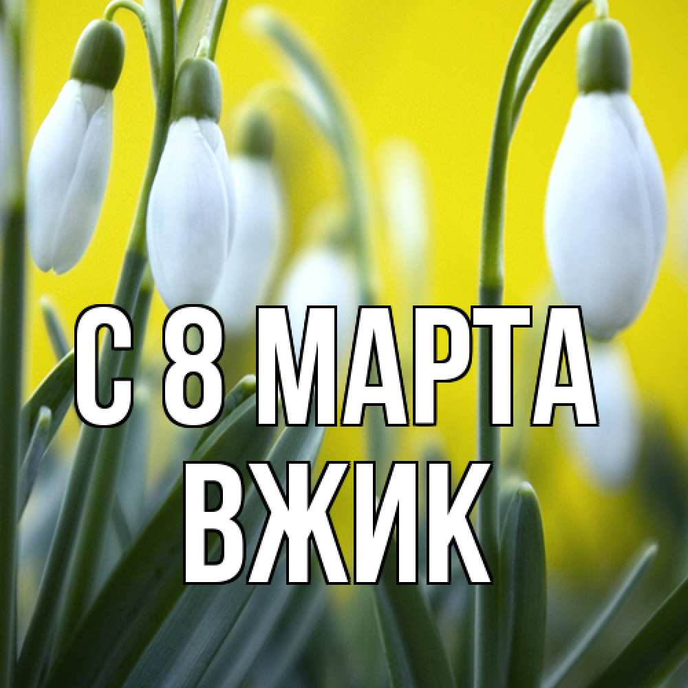 Открытка на каждый день с именем, Вжик C 8 МАРТА весенние цветы Прикольная открытка с пожеланием онлайн скачать бесплатно 