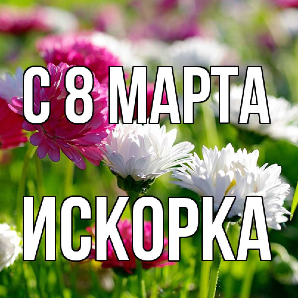 Открытка на каждый день с именем, искорка C 8 МАРТА международный женский день 1 Прикольная открытка с пожеланием онлайн скачать бесплатно 