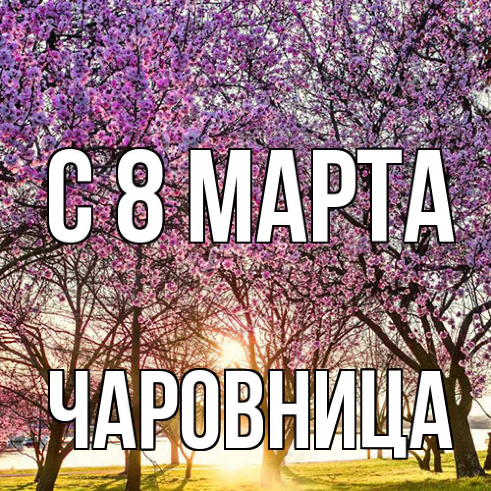 Открытка на каждый день с именем, чаровница C 8 МАРТА международный женский день Прикольная открытка с пожеланием онлайн скачать бесплатно 