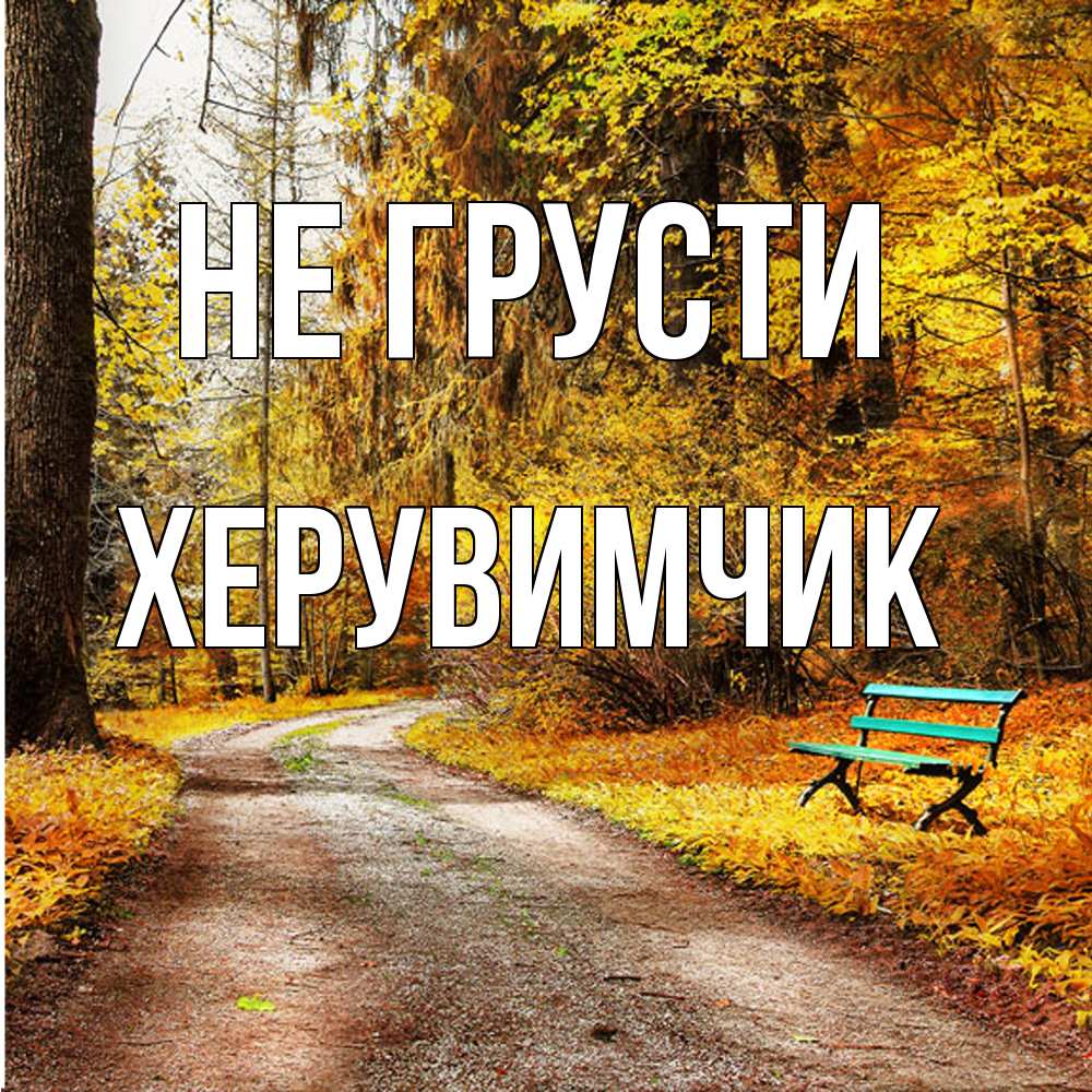 Открытка на каждый день с именем, Хеpувимчик Не грусти зеленая лавочка Прикольная открытка с пожеланием онлайн скачать бесплатно 