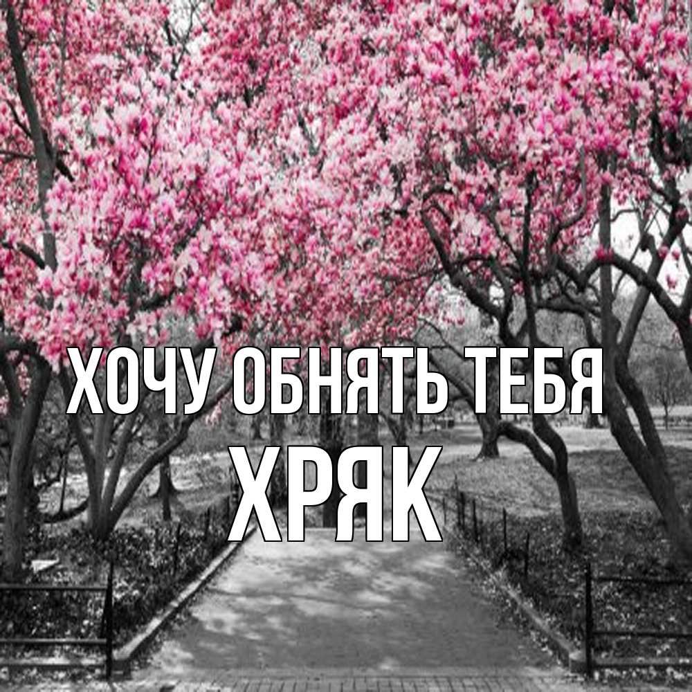 Открытка на каждый день с именем, Хряк Хочу обнять тебя обработанное фото Прикольная открытка с пожеланием онлайн скачать бесплатно 