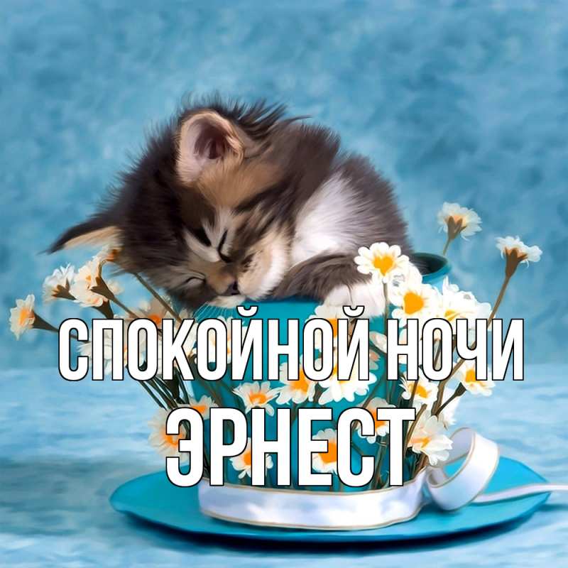Картинка Спокойной ночи, Эрнест