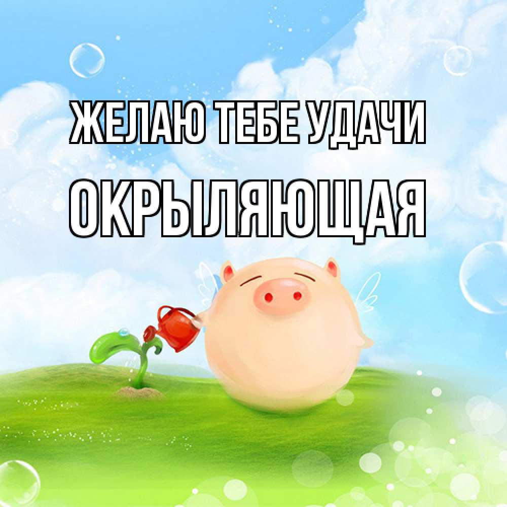 Открытка на каждый день с именем, окрыляющая Желаю тебе удачи поросенок поливает цветок. летнее настроение Прикольная открытка с пожеланием онлайн скачать бесплатно 