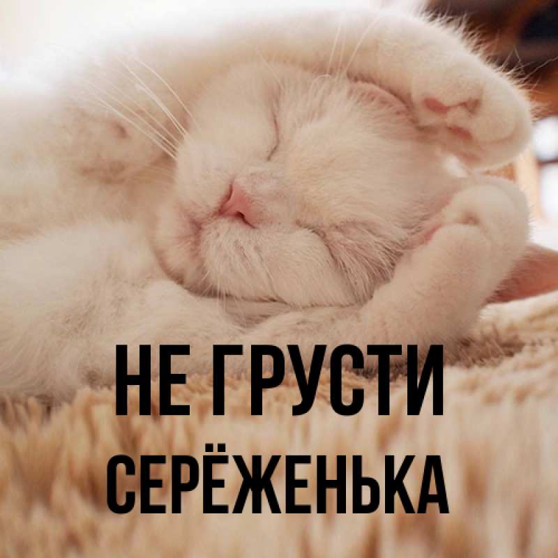 Картинка Не грусти, Серёженька