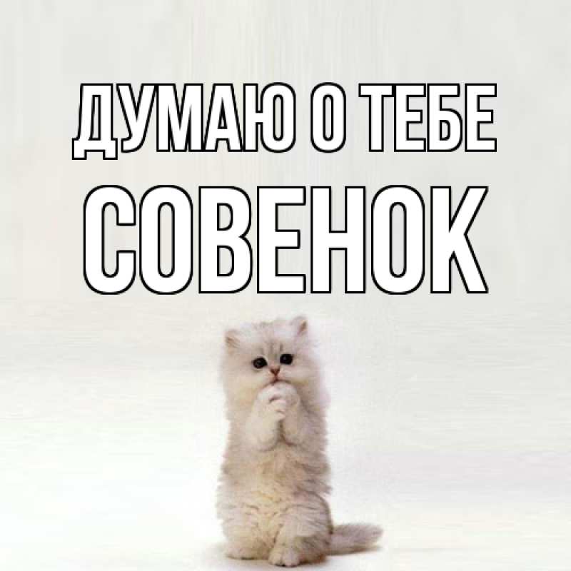 Картинка Думаю о тебе, совенок