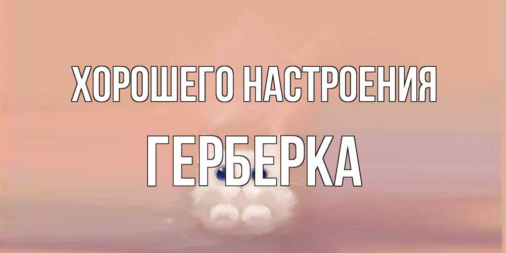 Открытка на каждый день с именем, Герберка Хорошего настроения кошка Прикольная открытка с пожеланием онлайн скачать бесплатно 