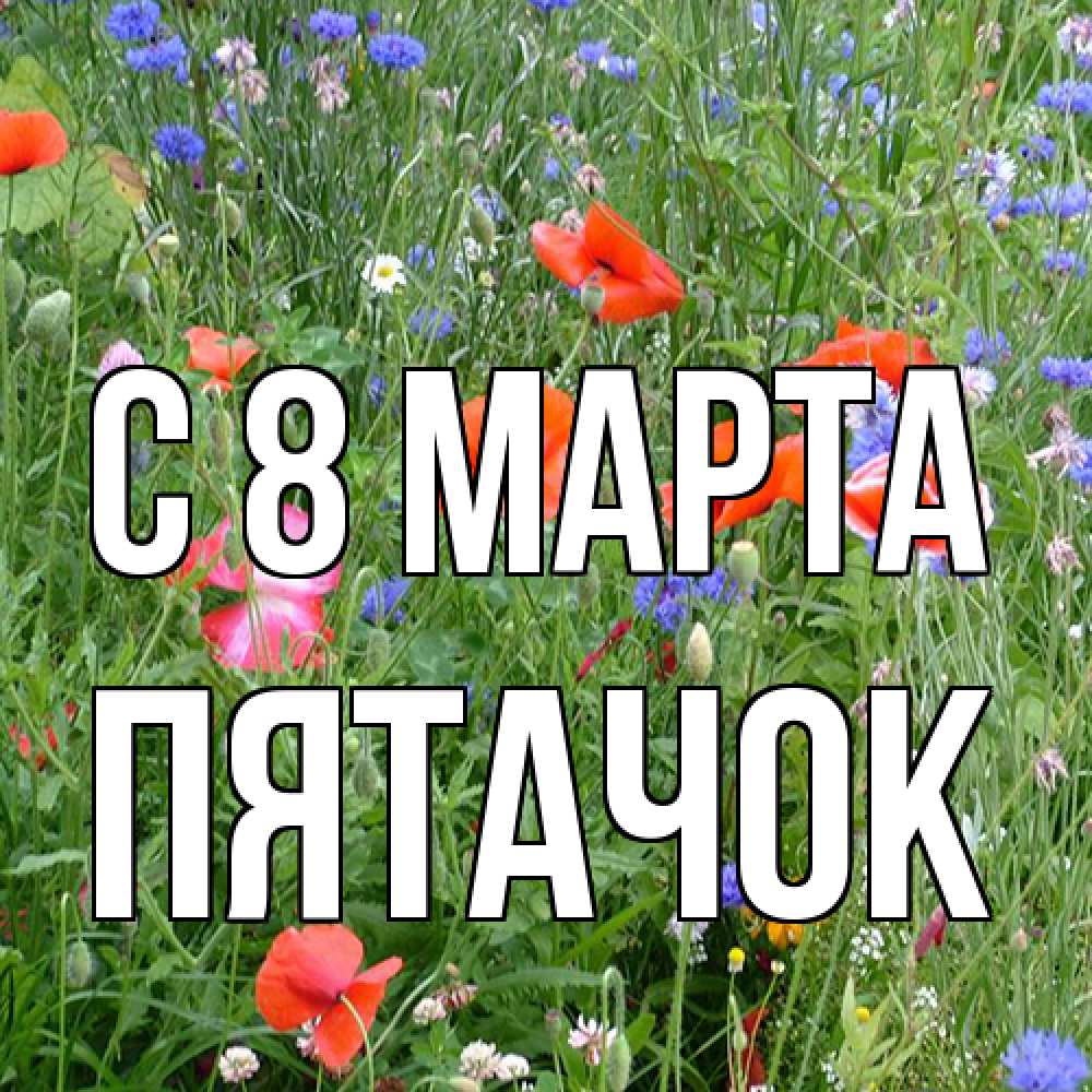 Открытка на каждый день с именем, Пятачок C 8 МАРТА международный женский день 4 Прикольная открытка с пожеланием онлайн скачать бесплатно 