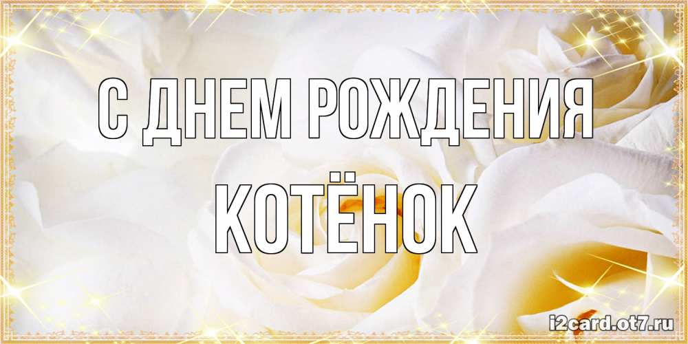 Открытка на каждый день с именем, Котёнок С днем рождения красивые розы и капли росы на этих чудесных цветах Прикольная открытка с пожеланием онлайн скачать бесплатно 