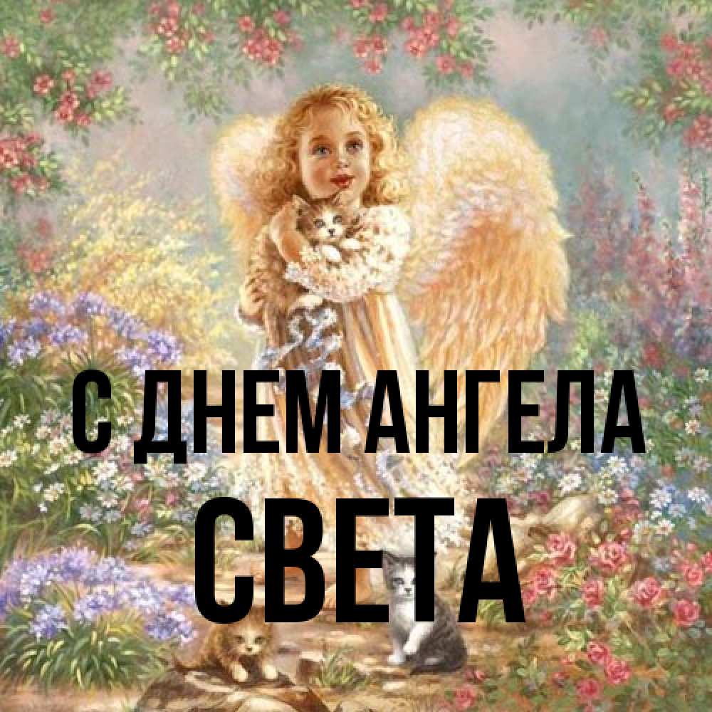 Открытка на каждый день с именем, Света С днем ангела держит котенка Прикольная открытка с пожеланием онлайн скачать бесплатно 