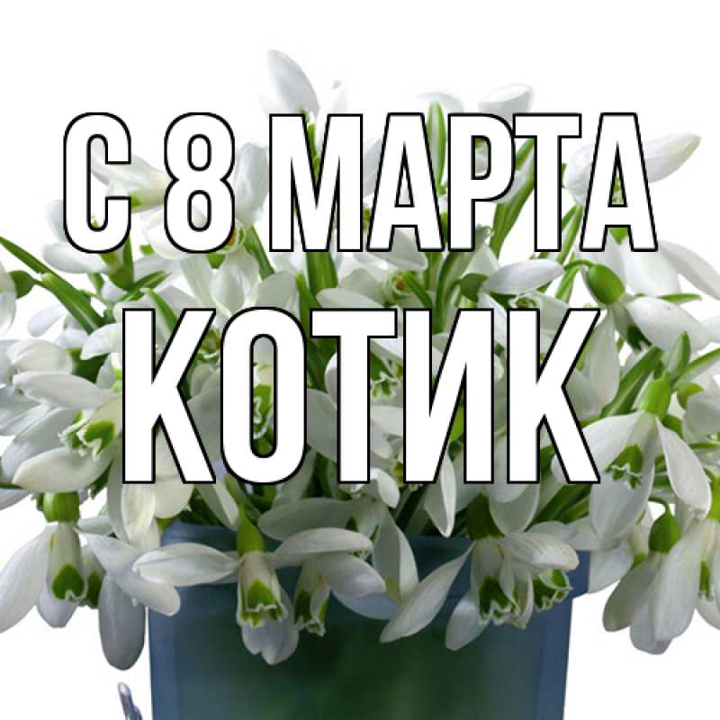 Картинка C 8 МАРТА, Котик