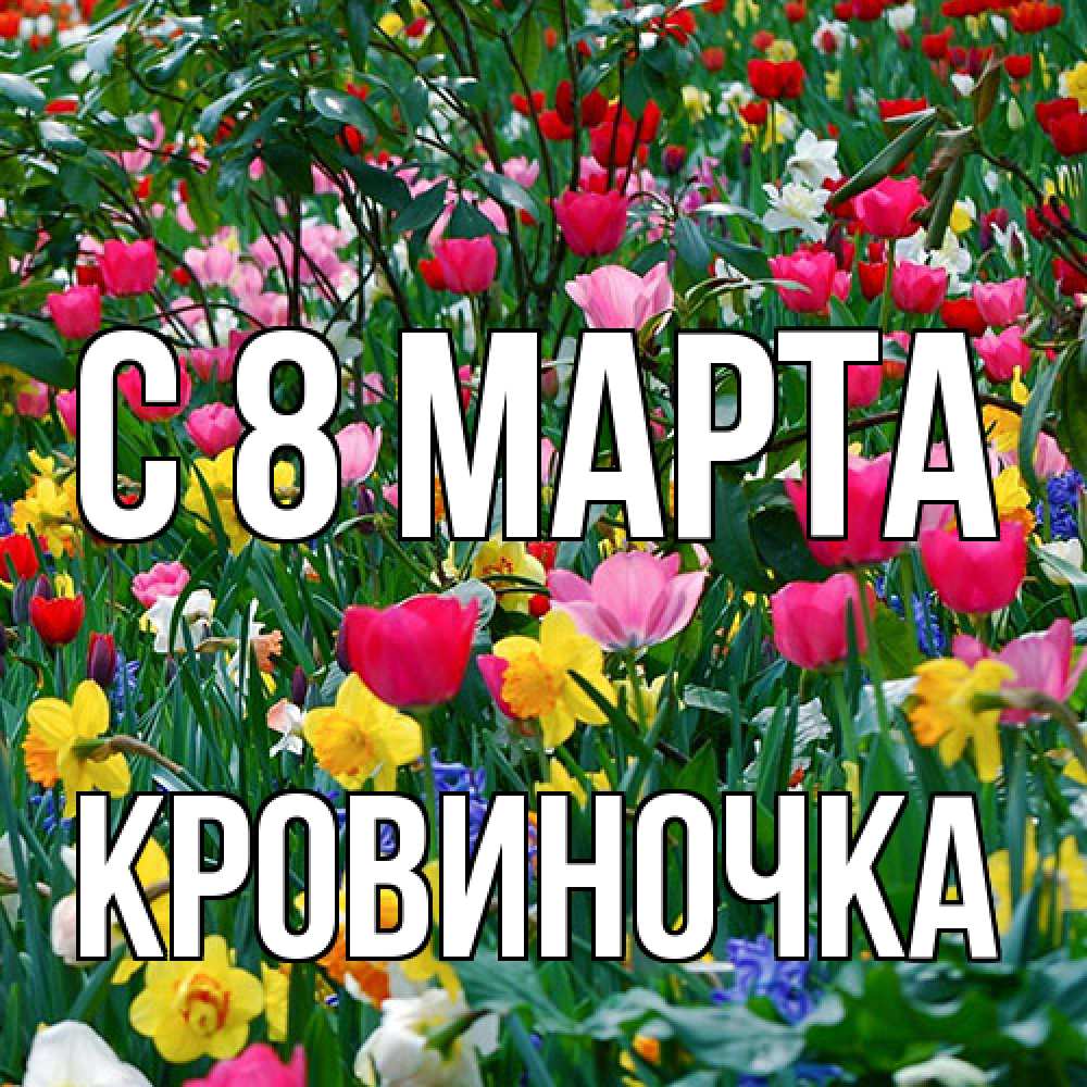 Открытка на каждый день с именем, кровиночка C 8 МАРТА с международным женским днем поздравления для женщины Прикольная открытка с пожеланием онлайн скачать бесплатно 