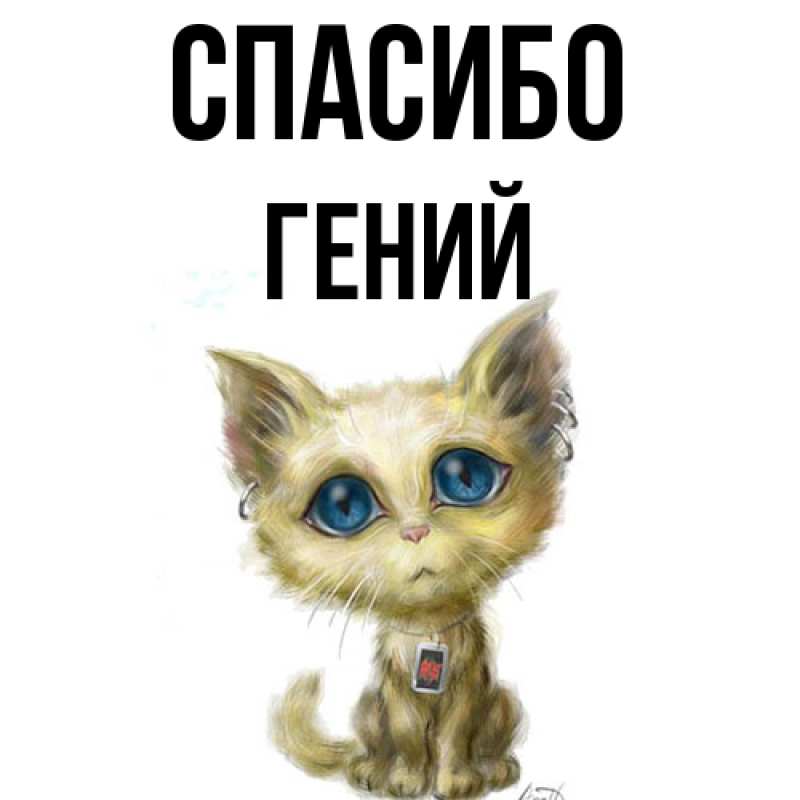 Картинка Спасибо, Гений