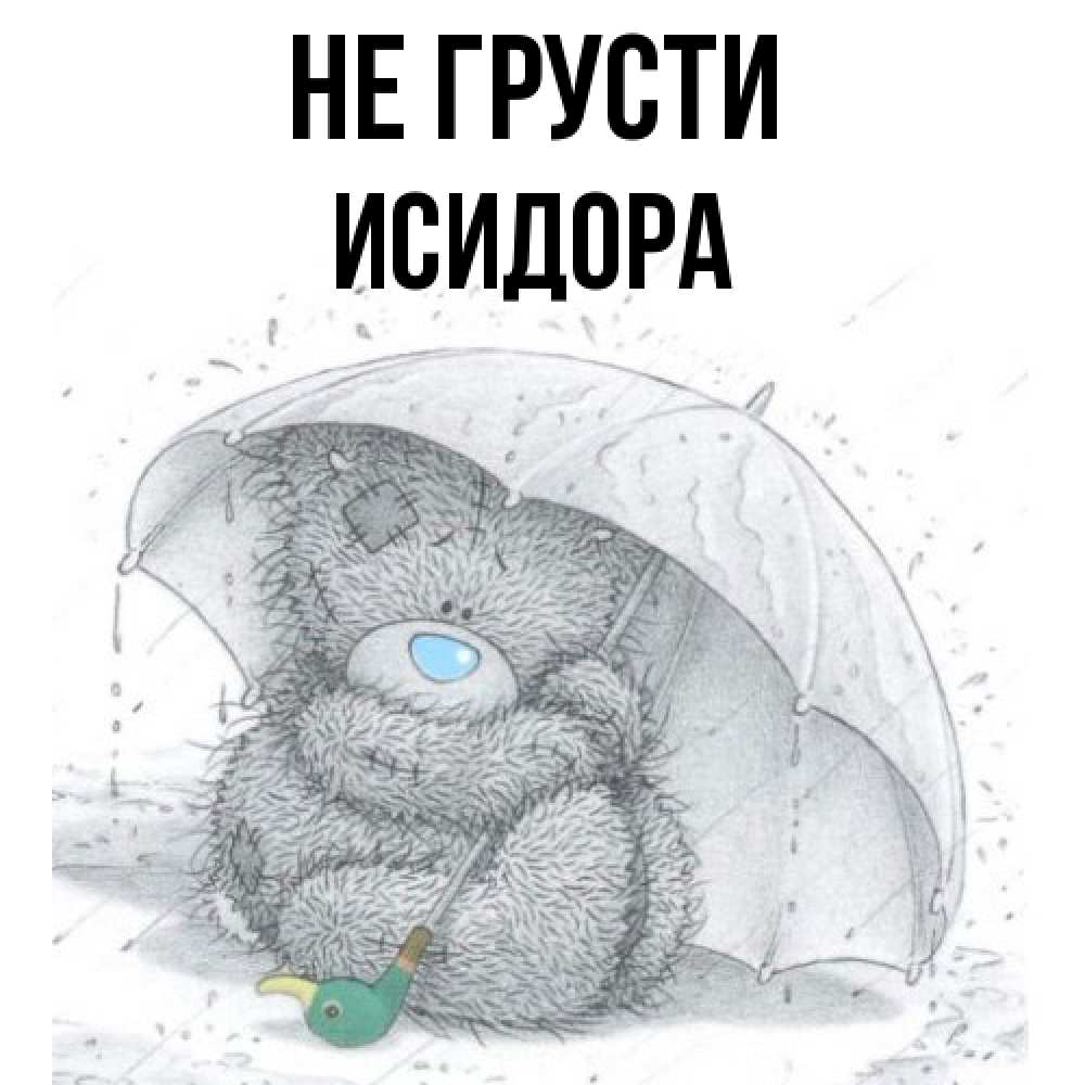 Открытка на каждый день с именем, Исидора Не грусти спасите мишку Тедди Прикольная открытка с пожеланием онлайн скачать бесплатно 