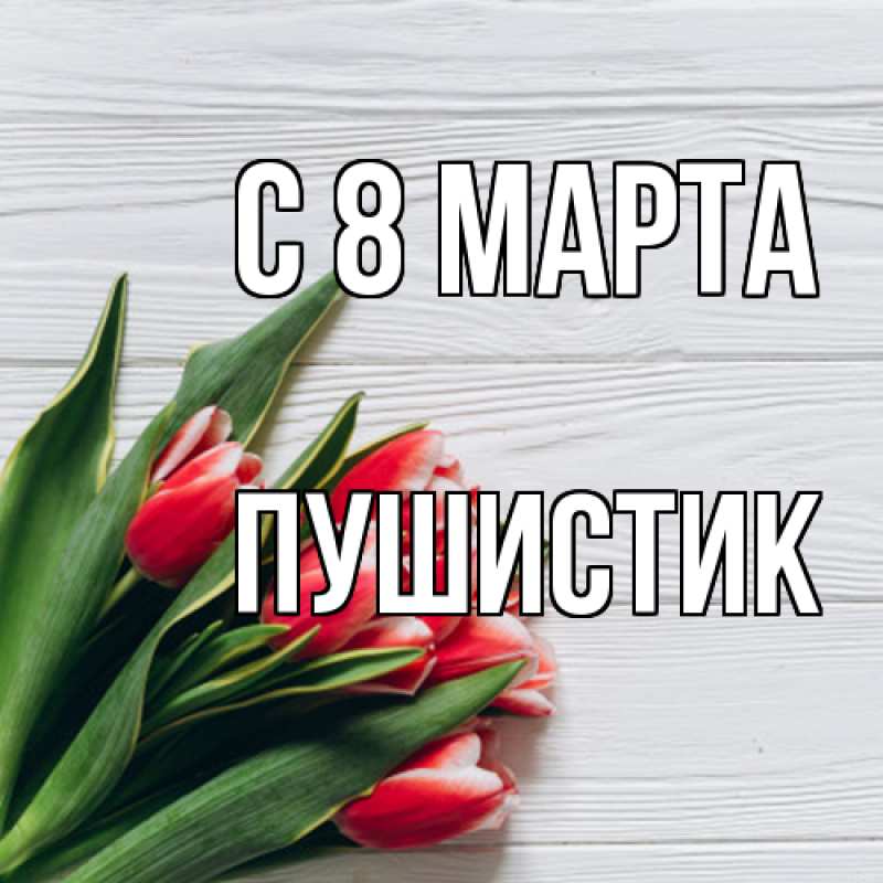 Картинка C 8 МАРТА, Пушистик