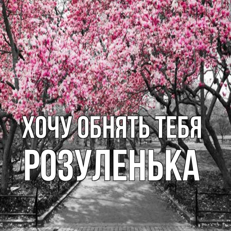 Картинка Хочу обнять тебя, Розуленька