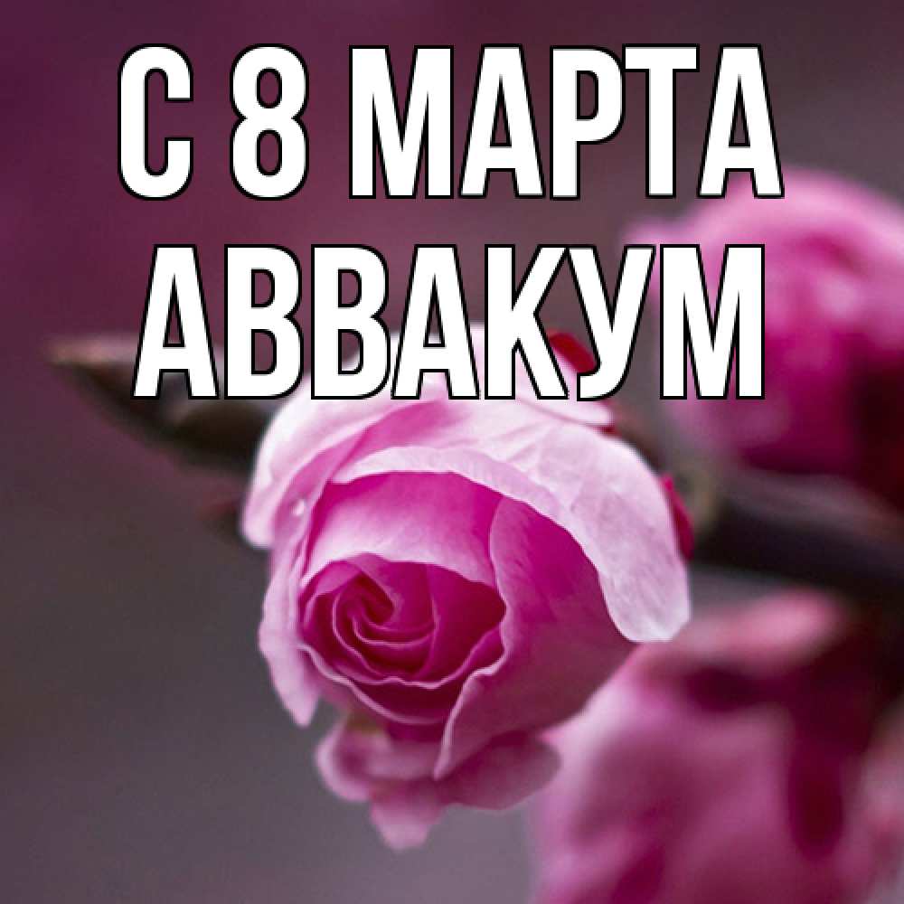 Открытка на каждый день с именем, Аввакум C 8 МАРТА весна Прикольная открытка с пожеланием онлайн скачать бесплатно 