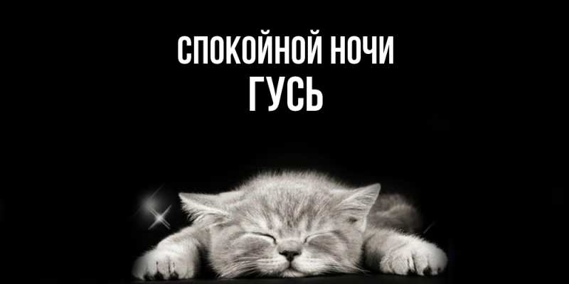 Картинка Спокойной ночи, Гусь