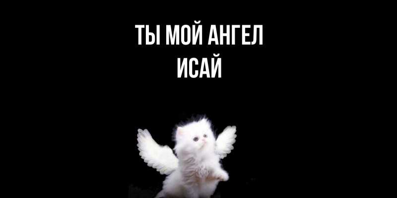 Картинка Ты мой ангел, Исай