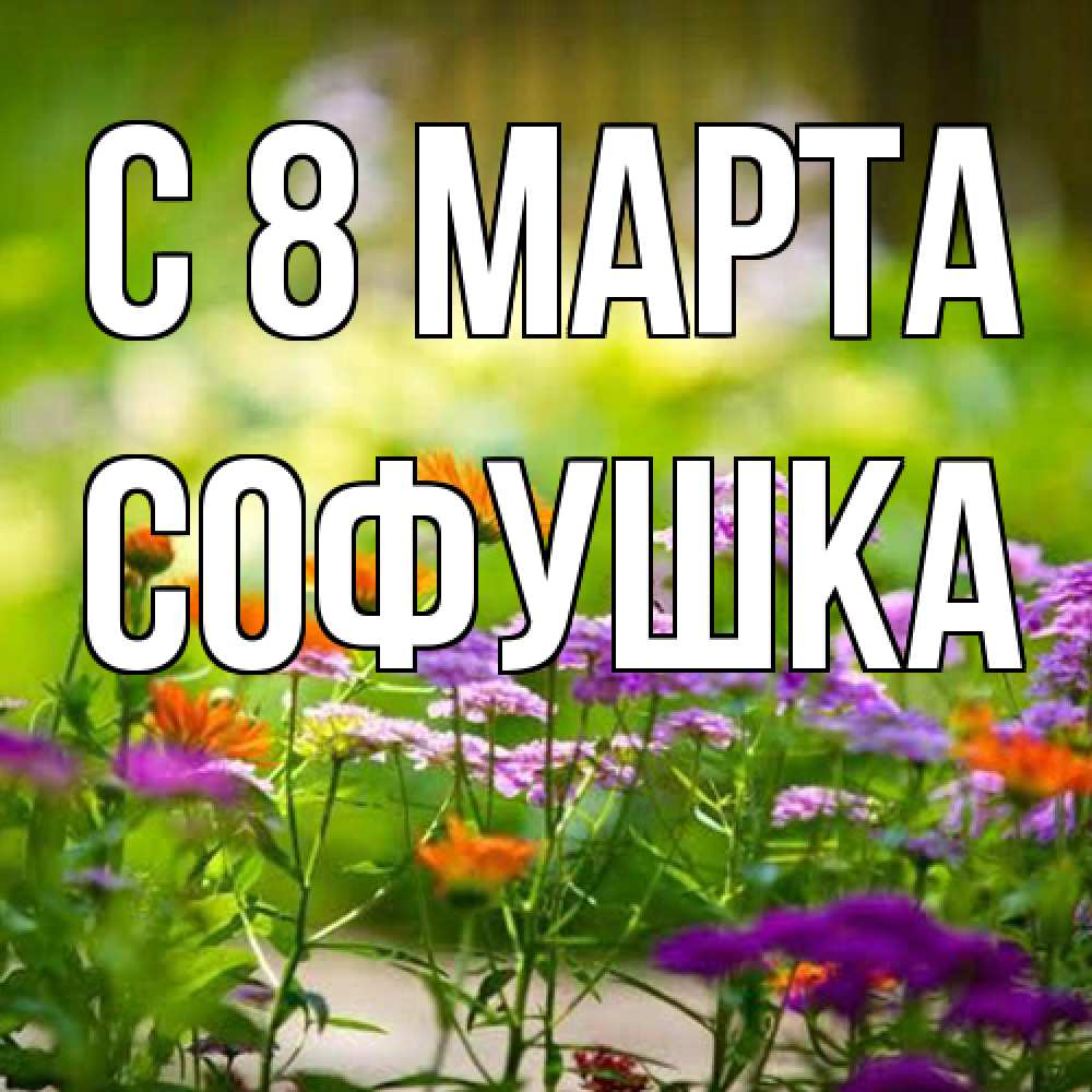 Открытка на каждый день с именем, Софушка C 8 МАРТА цветы Прикольная открытка с пожеланием онлайн скачать бесплатно 