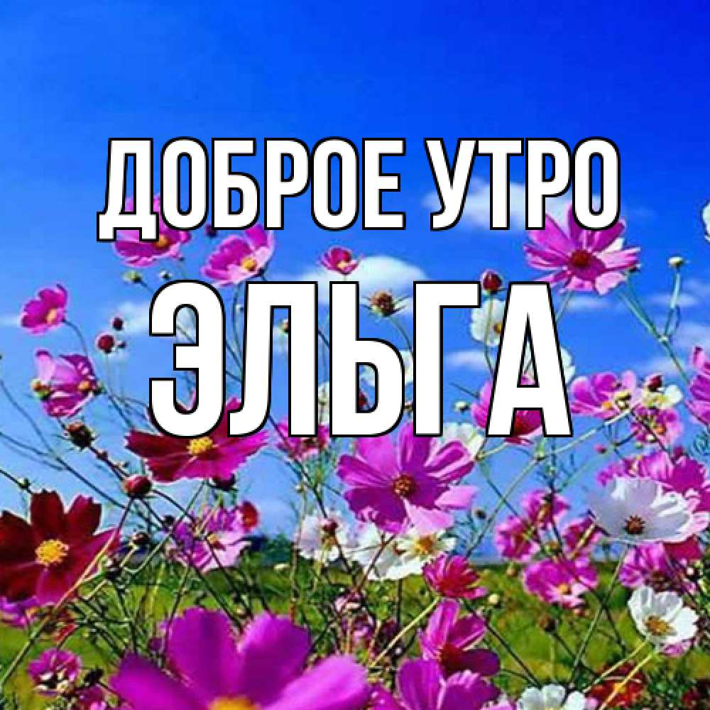 Открытка на каждый день с именем, Эльга Доброе утро сиреневые цветы Прикольная открытка с пожеланием онлайн скачать бесплатно 