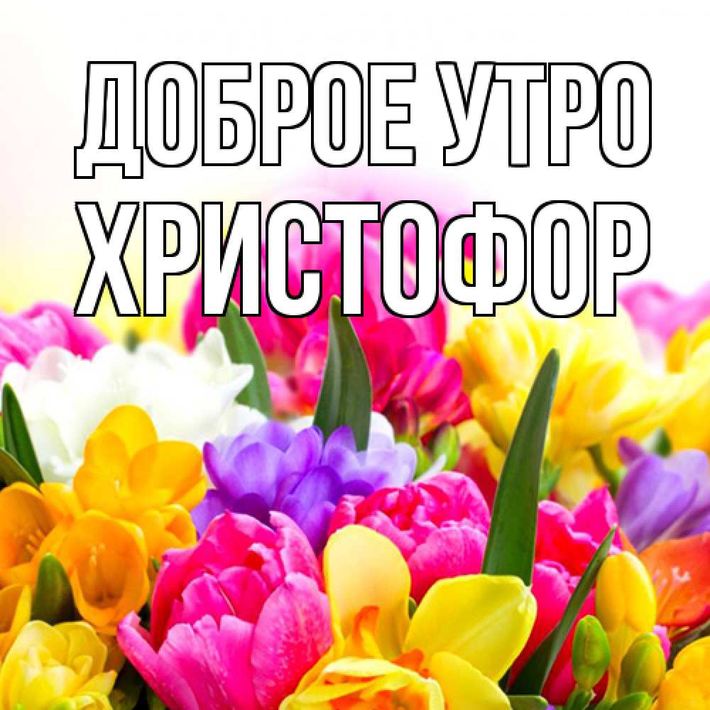 Открытка на каждый день с именем, Христофор Доброе утро создать открытку со свое подписью Прикольная открытка с пожеланием онлайн скачать бесплатно 