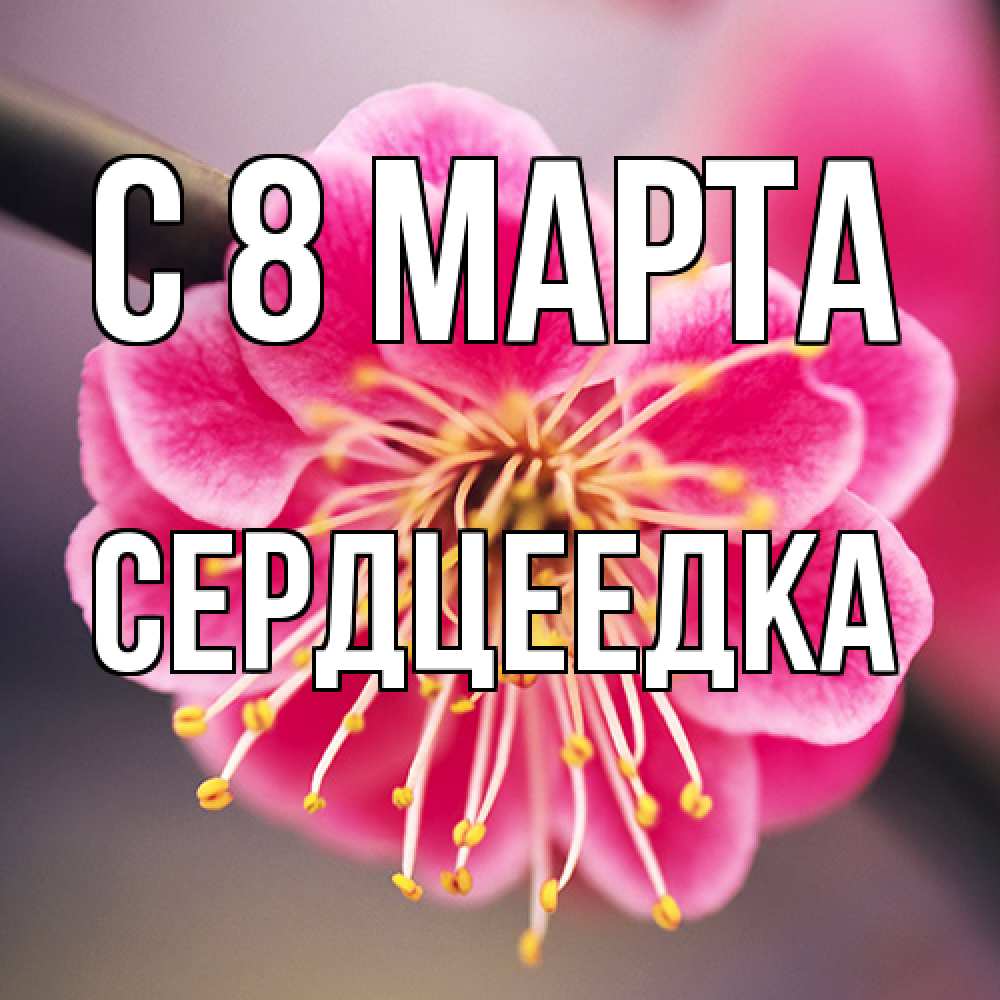 Открытка на каждый день с именем, сердцеедка C 8 МАРТА цветы Прикольная открытка с пожеланием онлайн скачать бесплатно 