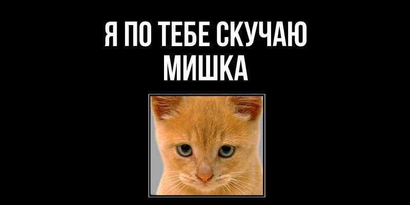 Картинка Я по тебе скучаю, Мишка