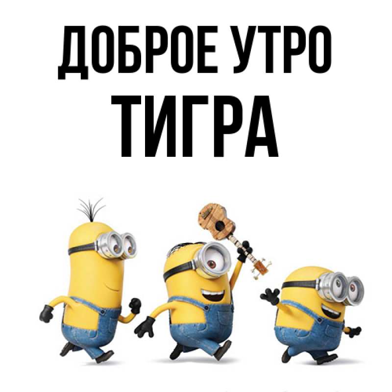 Картинка Доброе утро, Тигpа
