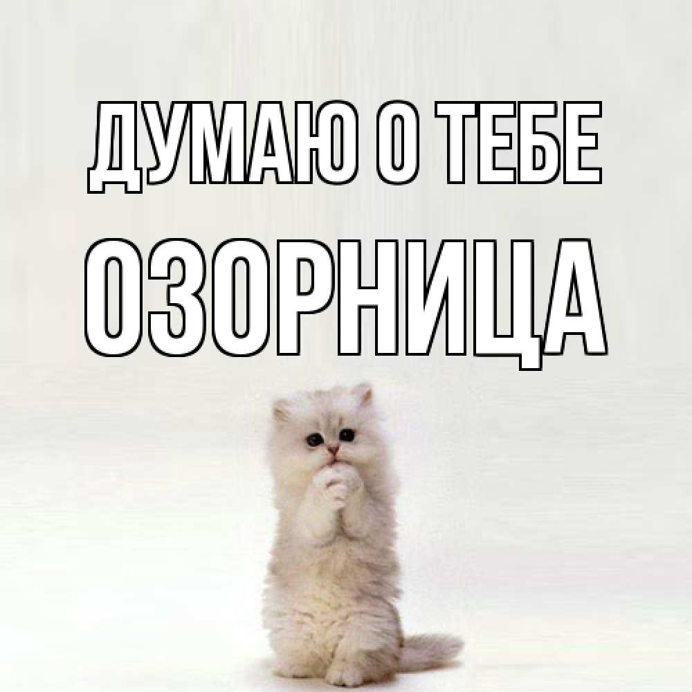Открытка на каждый день с именем, Озорница Думаю о тебе кот стоит на задних лапах Прикольная открытка с пожеланием онлайн скачать бесплатно 