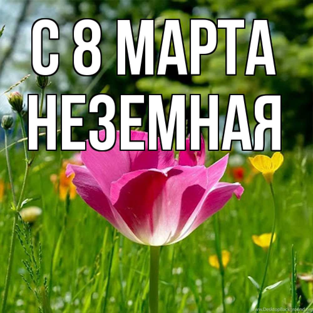 Открытка на каждый день с именем, неземная C 8 МАРТА полевые цветы Прикольная открытка с пожеланием онлайн скачать бесплатно 