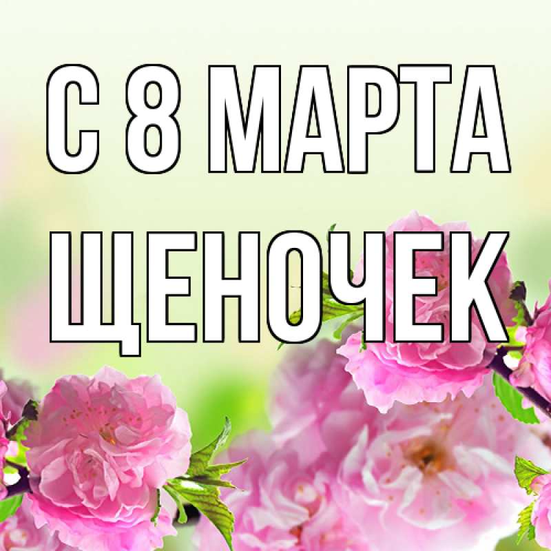 Картинка C 8 МАРТА, Щеночек