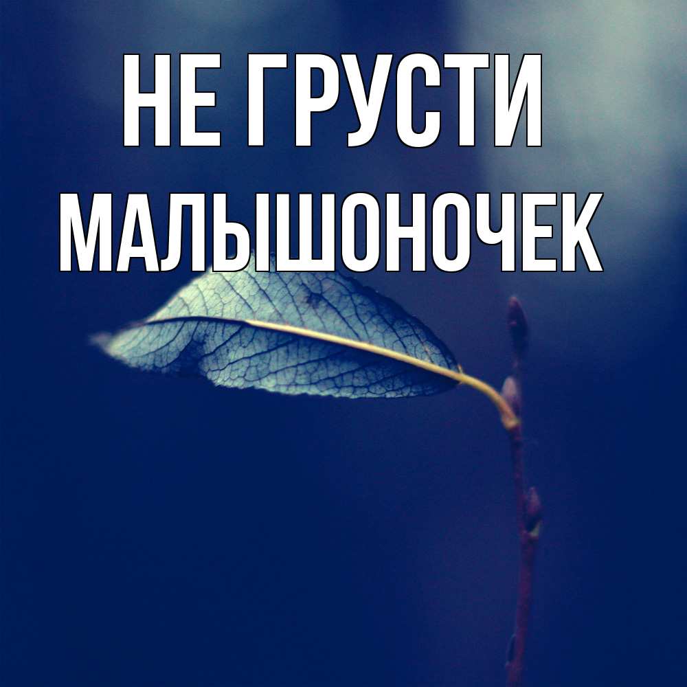 Открытка на каждый день с именем, Малышоночек Не грусти растение Прикольная открытка с пожеланием онлайн скачать бесплатно 