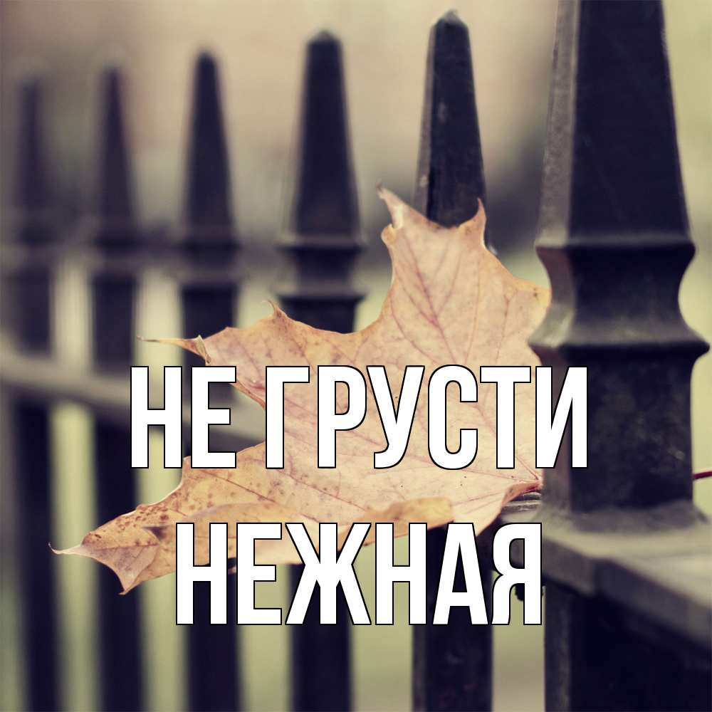 Открытка на каждый день с именем, Hежная Не грусти лист клена Прикольная открытка с пожеланием онлайн скачать бесплатно 