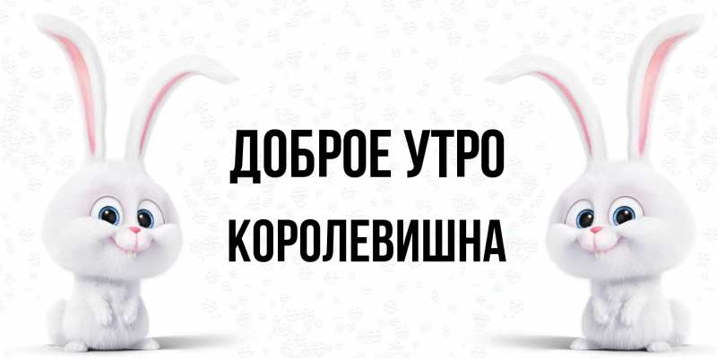 Картинка Доброе утро, Королевишна