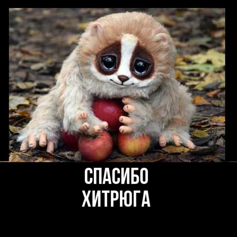 Картинка Спасибо, хитрюга