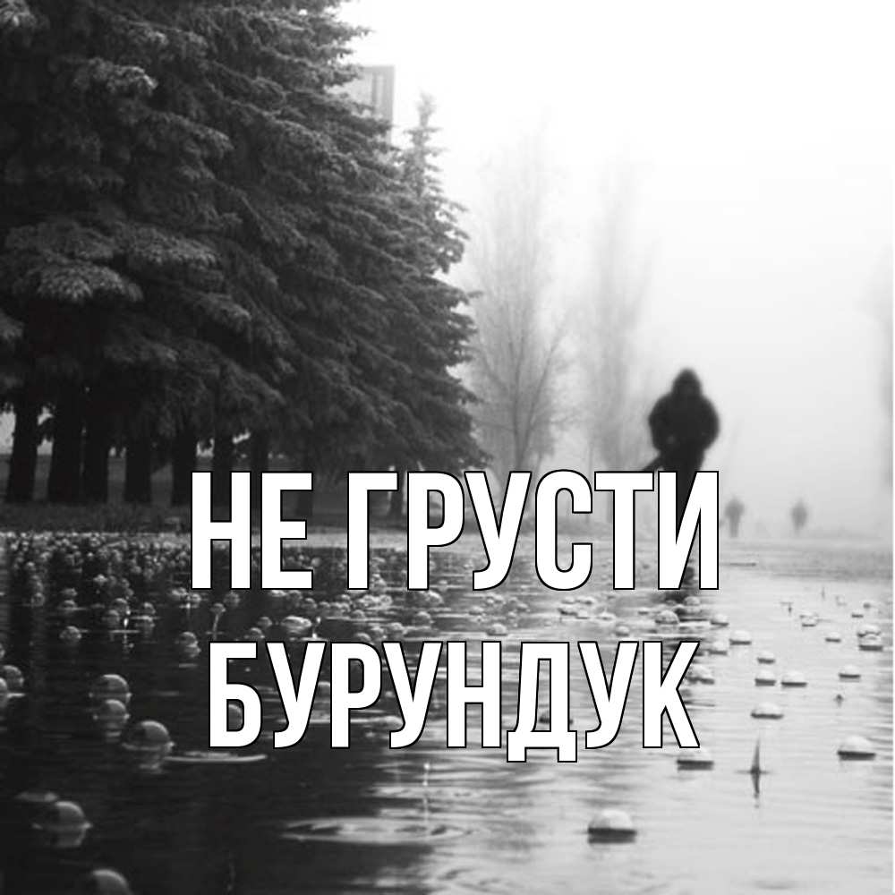 Открытка на каждый день с именем, Бурундук Не грусти улица под дождем Прикольная открытка с пожеланием онлайн скачать бесплатно 