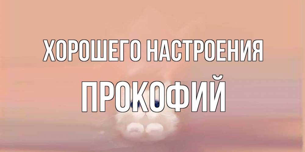 Открытка на каждый день с именем, Прокофий Хорошего настроения кошка Прикольная открытка с пожеланием онлайн скачать бесплатно 