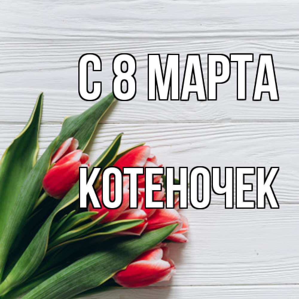 Открытка на каждый день с именем, Котеночек C 8 МАРТА весна 2 Прикольная открытка с пожеланием онлайн скачать бесплатно 