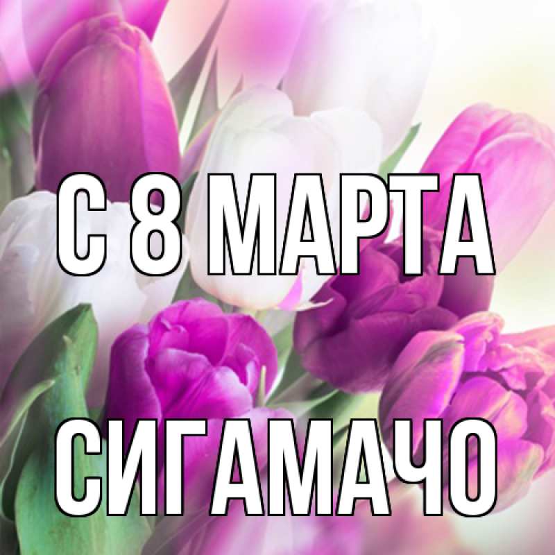 Картинка C 8 МАРТА, Сигамачо
